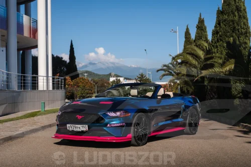 Ford Mustang - 1