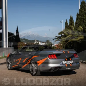 Галлерея - Ford Mustang - 9