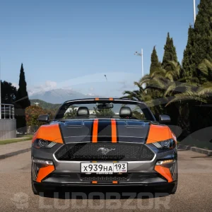 Галлерея - Ford Mustang - 9