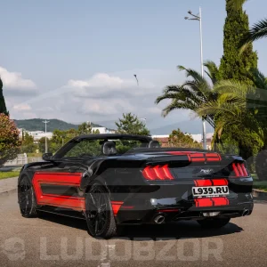 Галлерея - Ford Mustang - 10