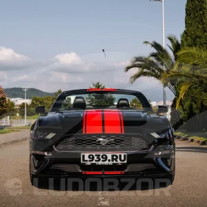 Галлерея - Ford Mustang - 10