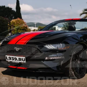 Галлерея - Ford Mustang - 10