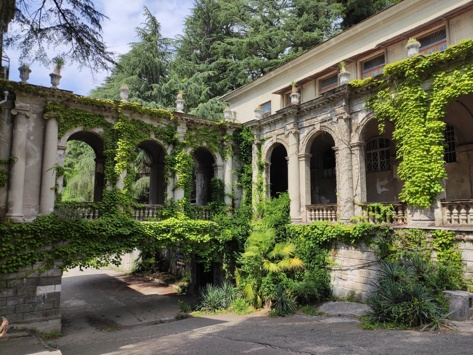 Красивые места в Сочи для фотосессии - 2