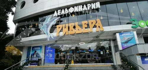 Сочи или Адлер — где лучше отдыхать - 24